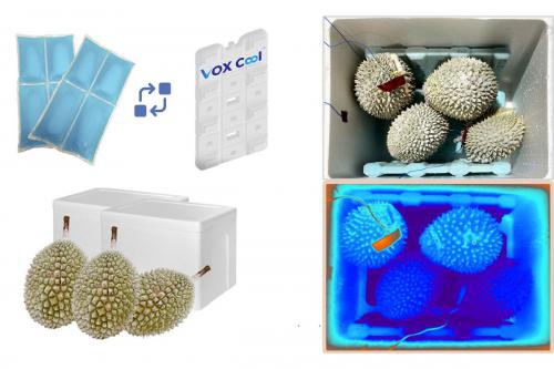 Pin Lạnh Cho Vận Chuyển Chuỗi Cung Ứng Lạnh